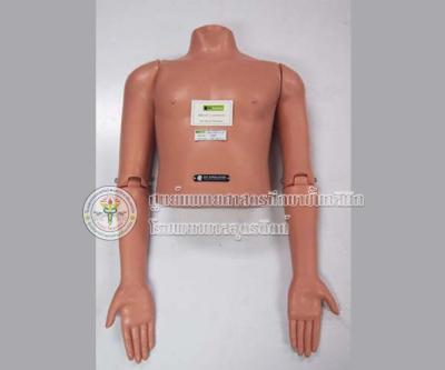 หุ่นฝึกการทำ Closed Reduction ของ Shoulder Dislocation