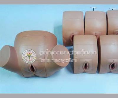 หุ่นสาธิตการฝึกตรวจ Dilatation/Effacement Examination Model